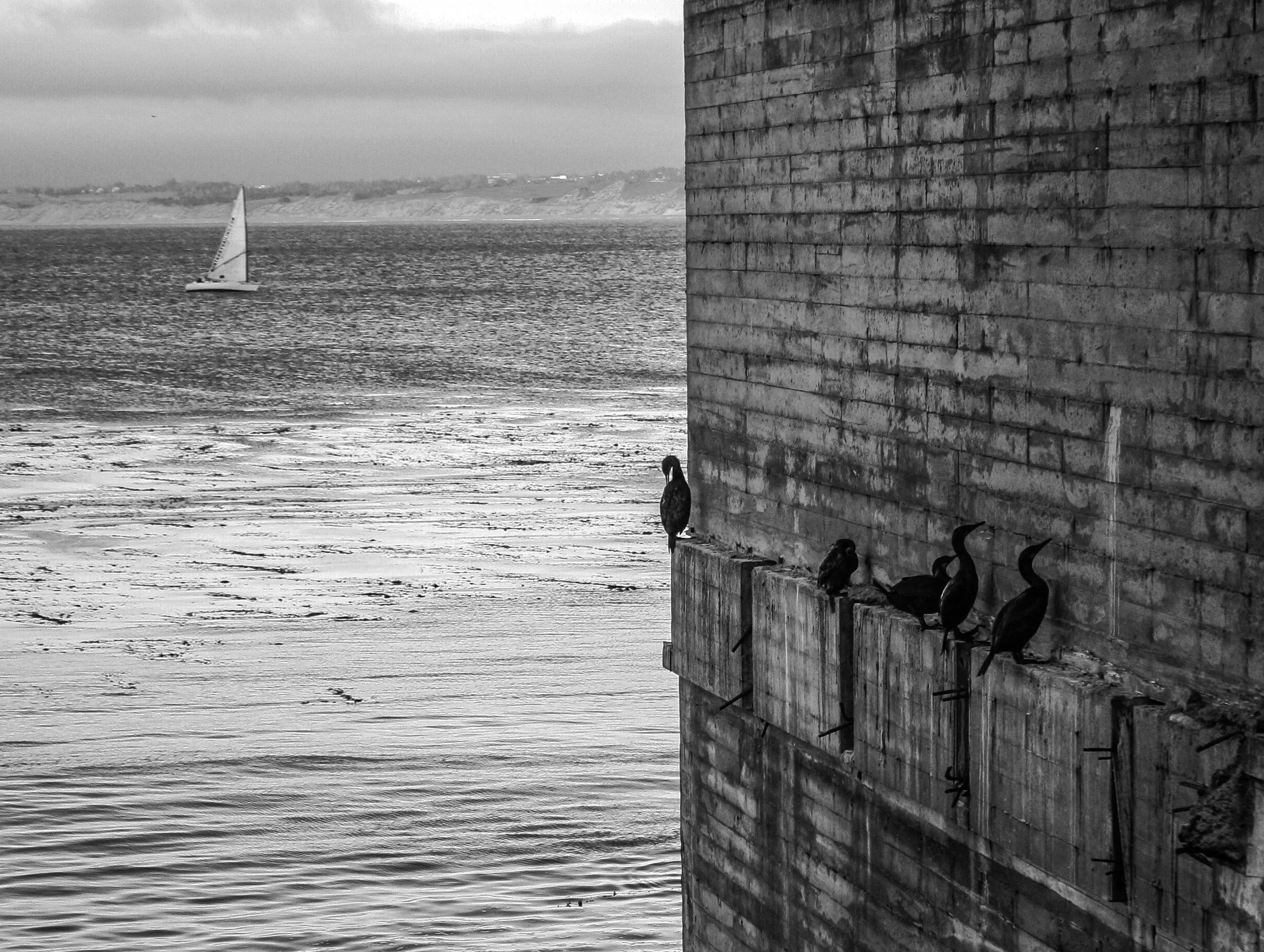   Plato’s Ledge, Adrian Estrada  