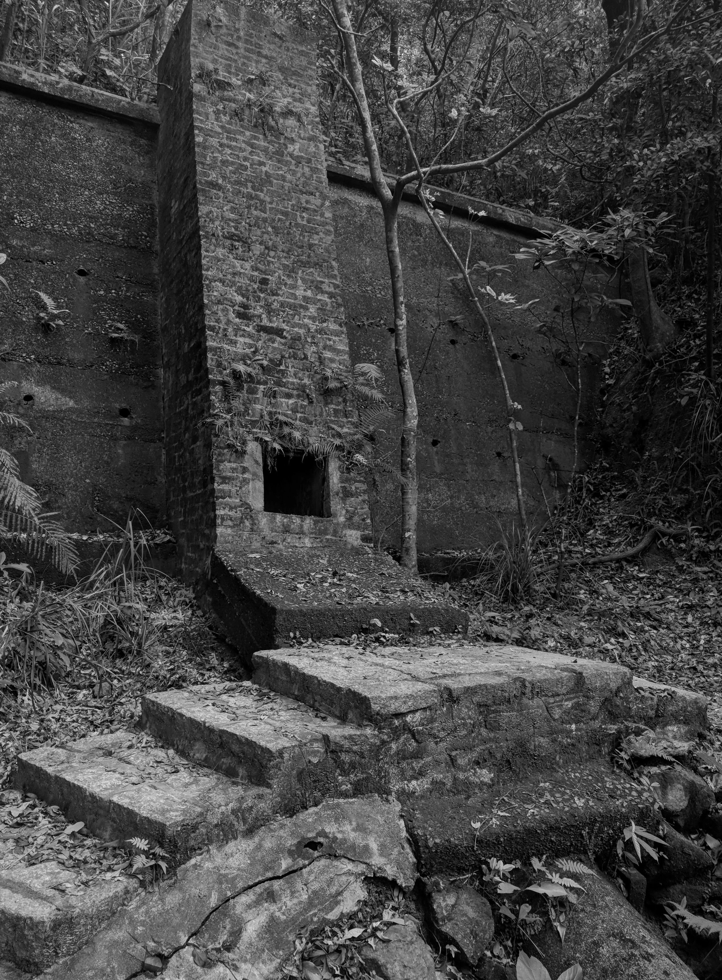   Spillway, Donald Guadagni  