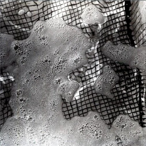   Untitled, Roger Camp  