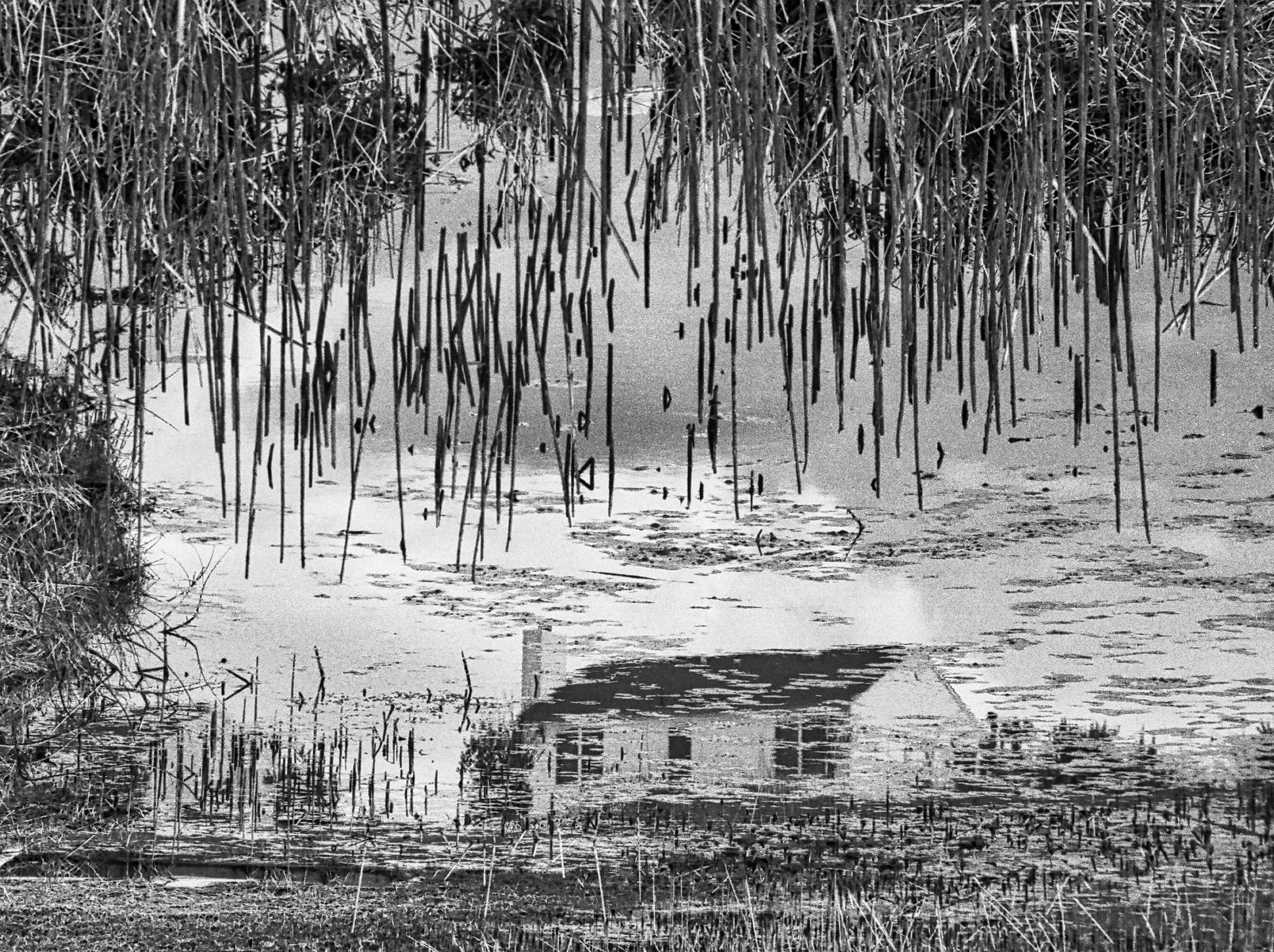   Savage House, Willy Conley  