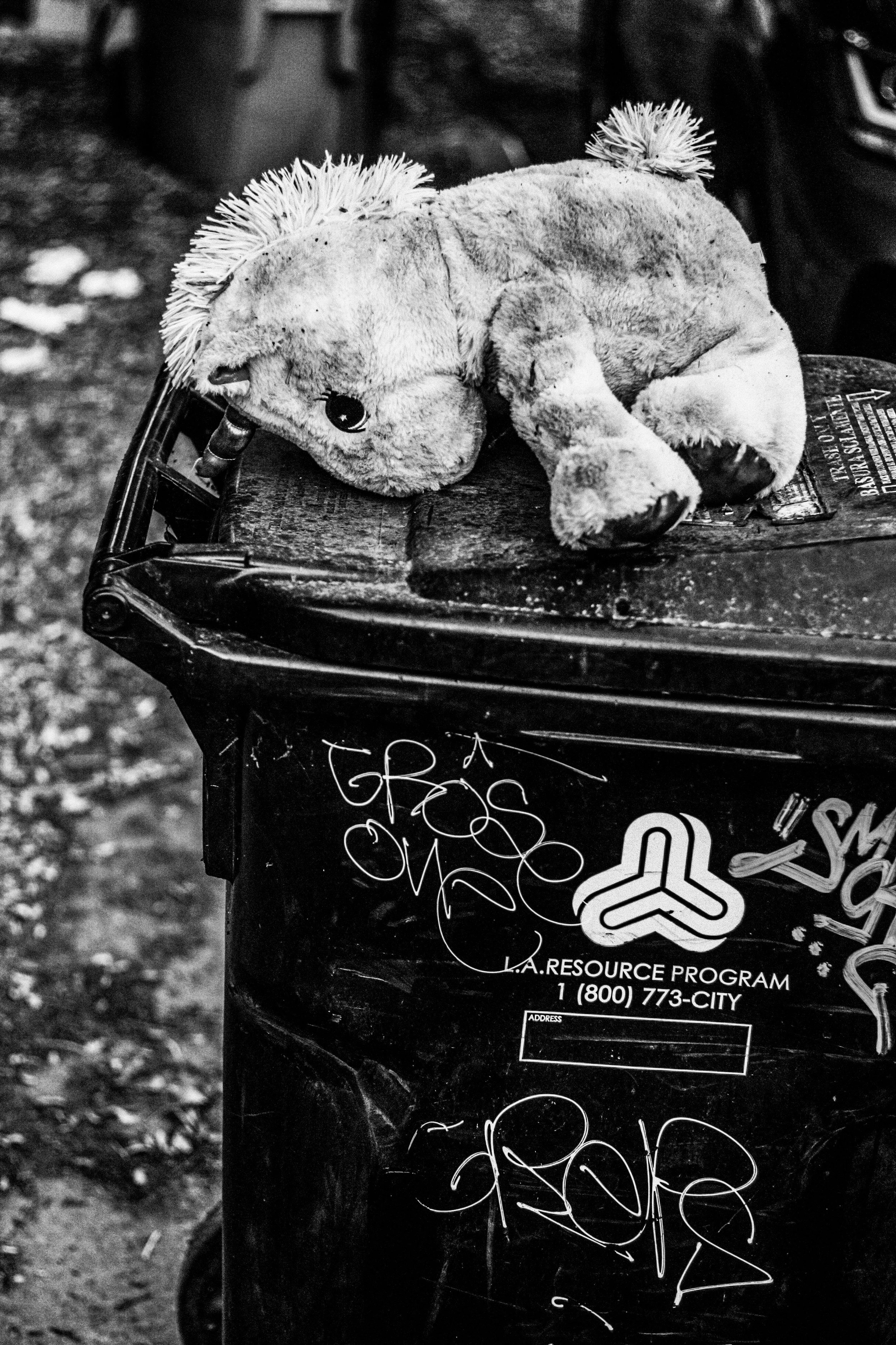   What Did You Look Like As A Child, Adrian Estrada  